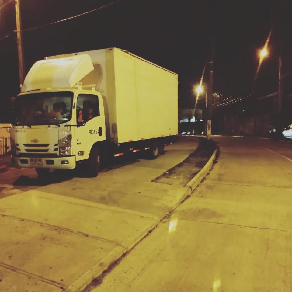 Mudanza profesional